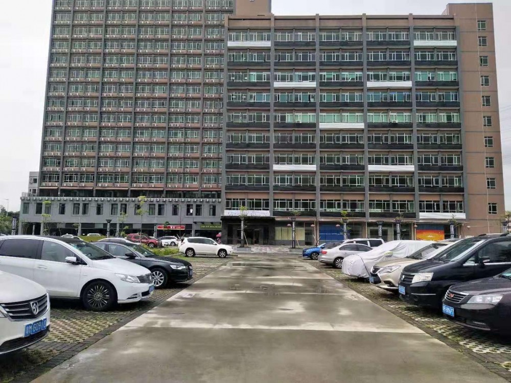六約新出廠房，價格便宜，形象非常好，空地大好停車，沙荷路旁邊