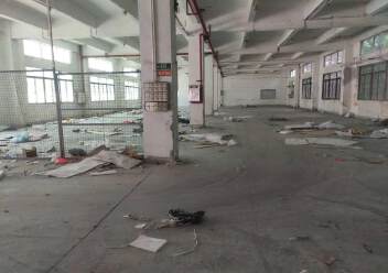 陳江鎮(zhèn)新出獨院4000平方貨梯三噸